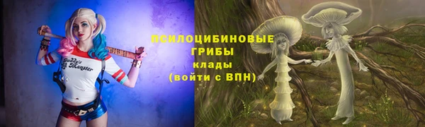 прущие крисы Богородицк