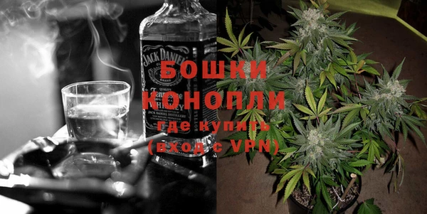 прущие грибы Балабаново