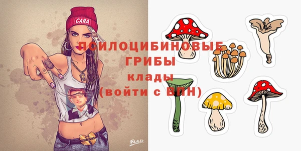 амф Бронницы