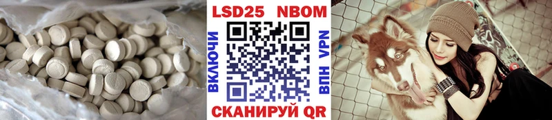 hydra tor  даркнет наркотические препараты  ЛСД экстази ecstasy  Невель 