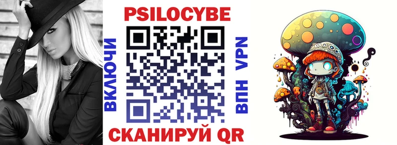 Псилоцибиновые грибы мицелий  купить наркоту  Невель 